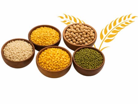Lentils & Pulses